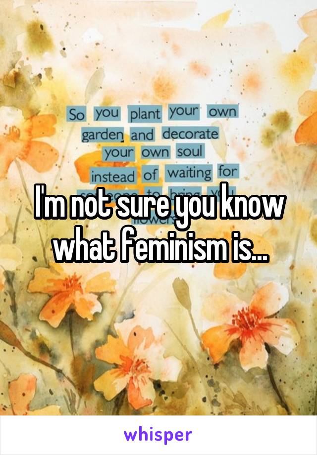 I'm not sure you know what feminism is...