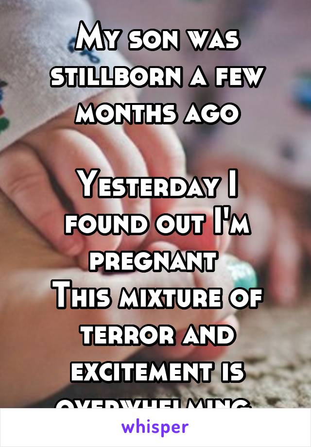 My son was stillborn a few months ago

Yesterday I found out I'm pregnant 
This mixture of terror and excitement is overwhelming 