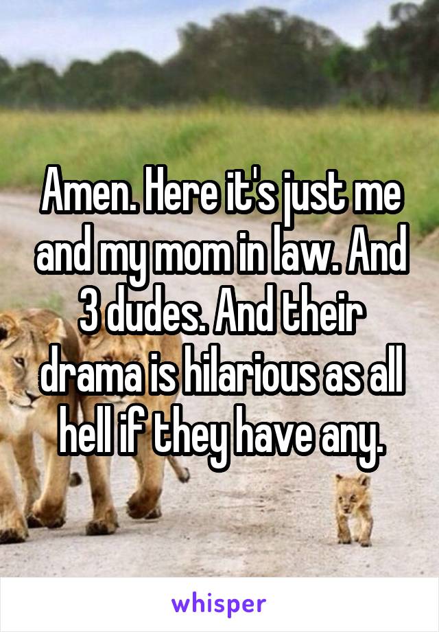 Amen. Here it's just me and my mom in law. And 3 dudes. And their drama is hilarious as all hell if they have any.