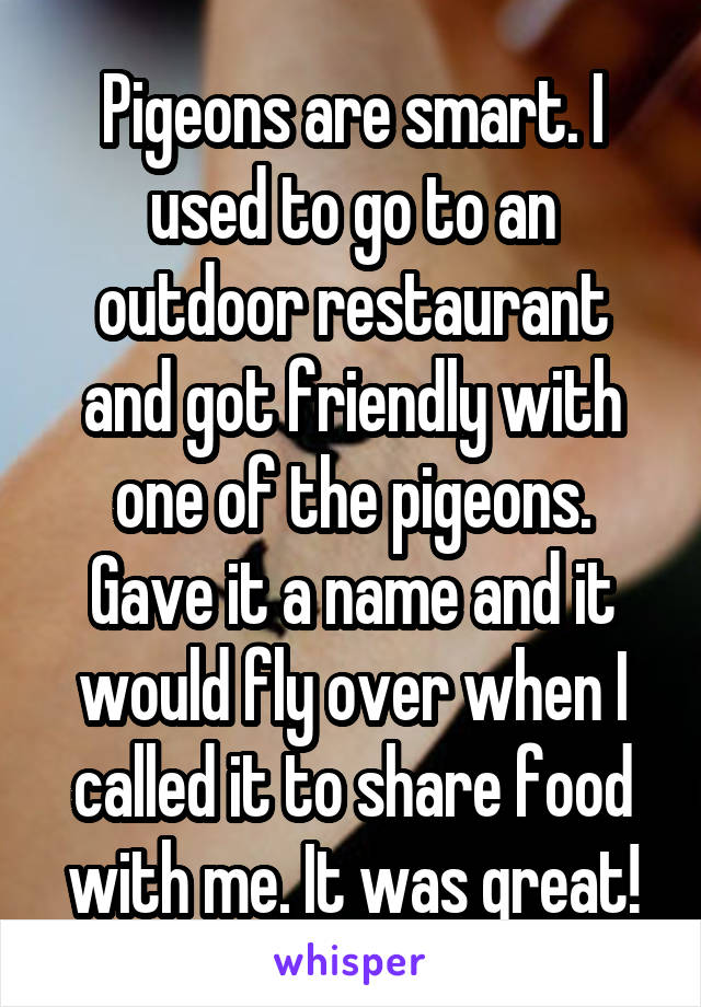 Pigeons are smart. I used to go to an outdoor restaurant and got friendly with one of the pigeons. Gave it a name and it would fly over when I called it to share food with me. It was great!