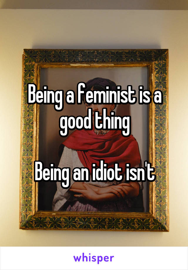 Being a feminist is a good thing

Being an idiot isn't