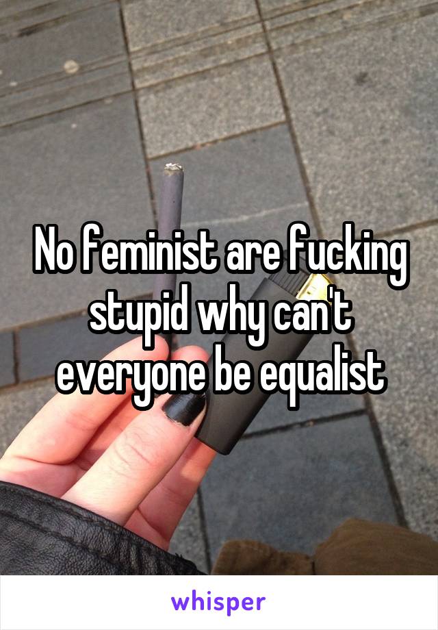 No feminist are fucking stupid why can't everyone be equalist