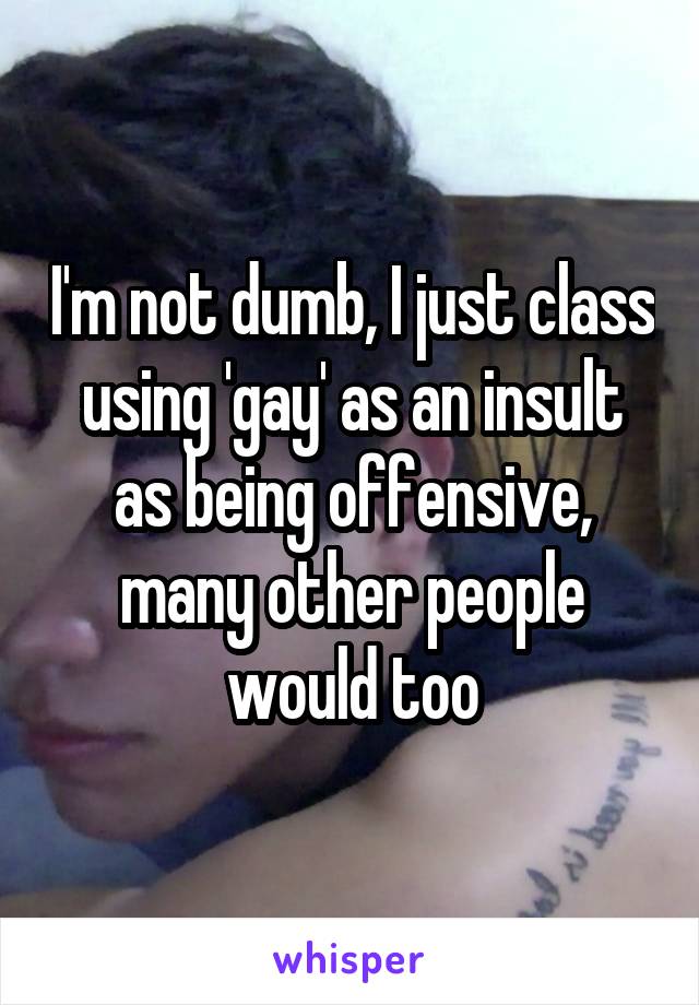 I'm not dumb, I just class using 'gay' as an insult as being offensive, many other people would too