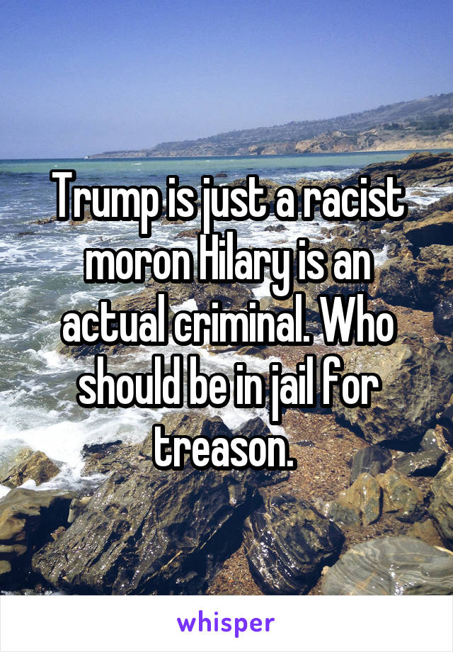 Trump is just a racist moron Hilary is an actual criminal. Who should be in jail for treason. 