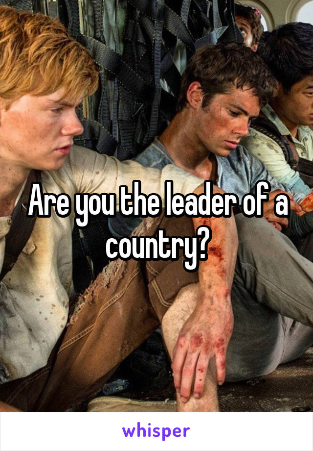 Are you the leader of a country?