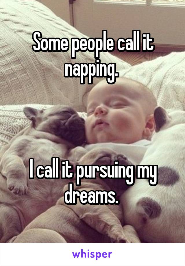 
Some people call it napping. 



I call it pursuing my dreams. 

