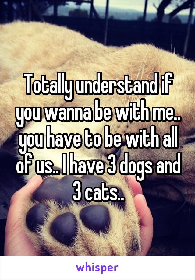 Totally understand if you wanna be with me.. you have to be with all of us.. I have 3 dogs and 3 cats..