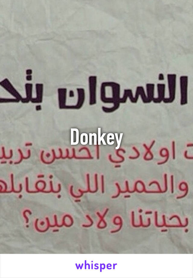 Donkey