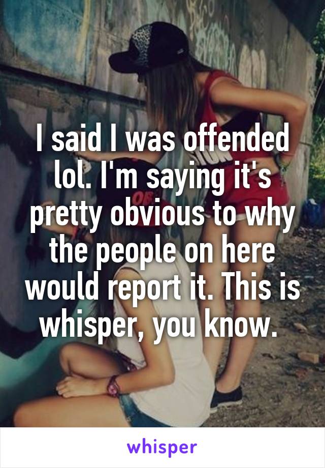 I said I was offended lol. I'm saying it's pretty obvious to why the people on here would report it. This is whisper, you know. 