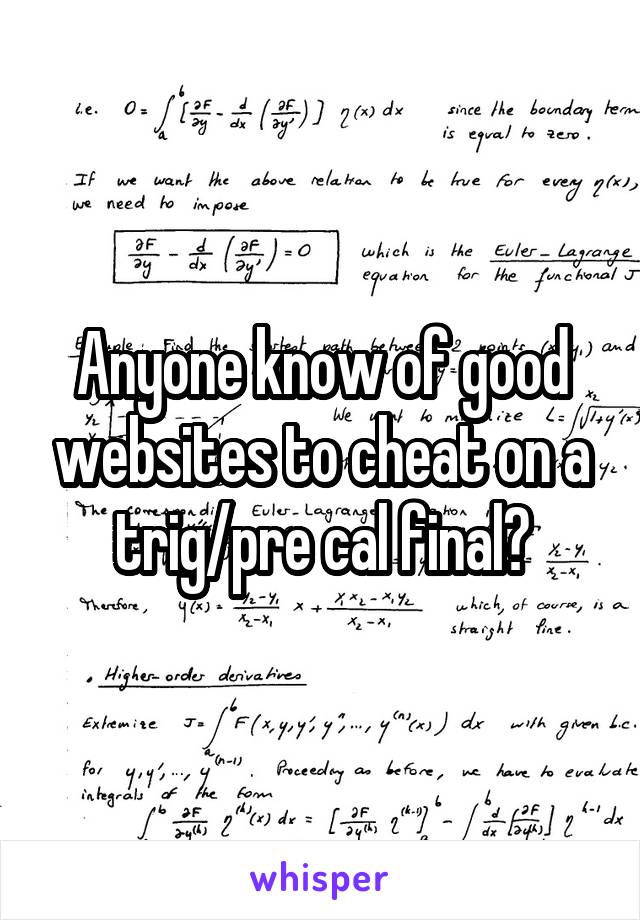 Anyone know of good websites to cheat on a trig/pre cal final?