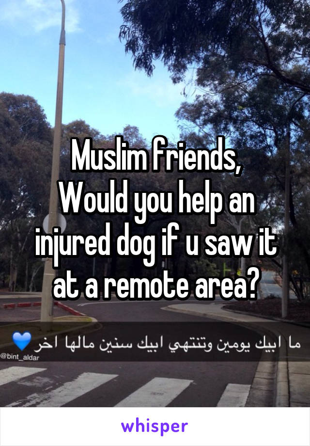 Muslim friends,
Would you help an injured dog if u saw it at a remote area?