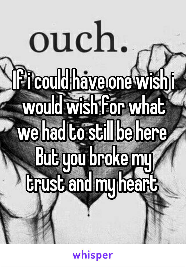If i could have one wish i would wish for what we had to still be here 
But you broke my trust and my heart 