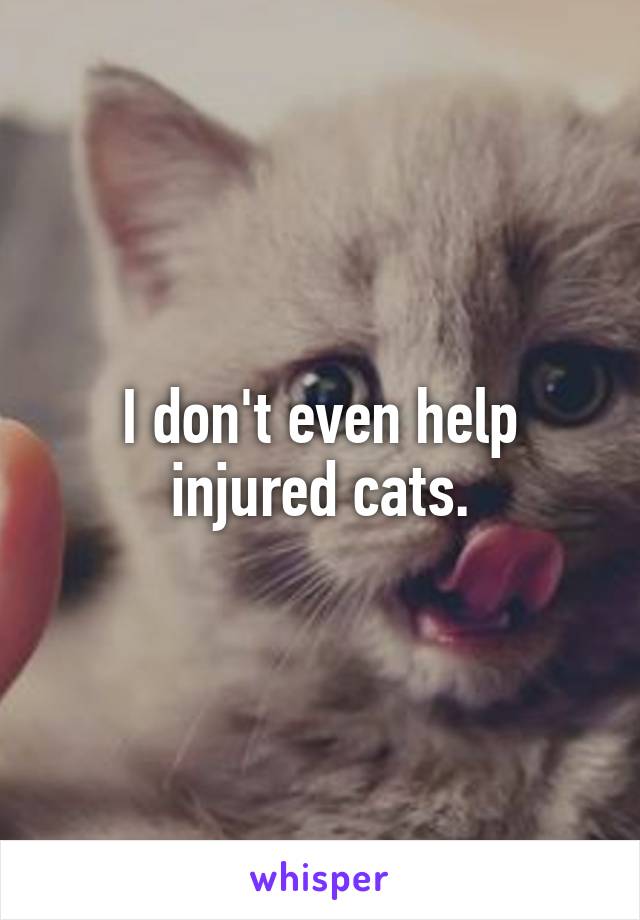 I don't even help injured cats.