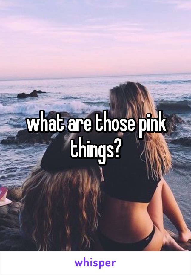 what are those pink things?