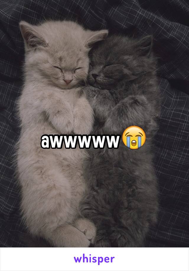 awwwww😭