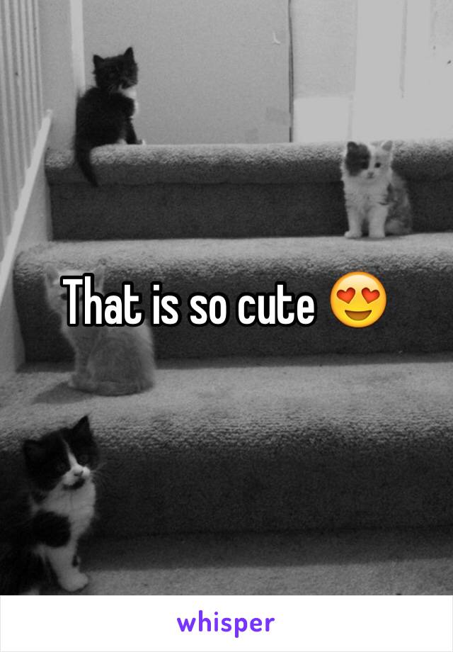 That is so cute 😍