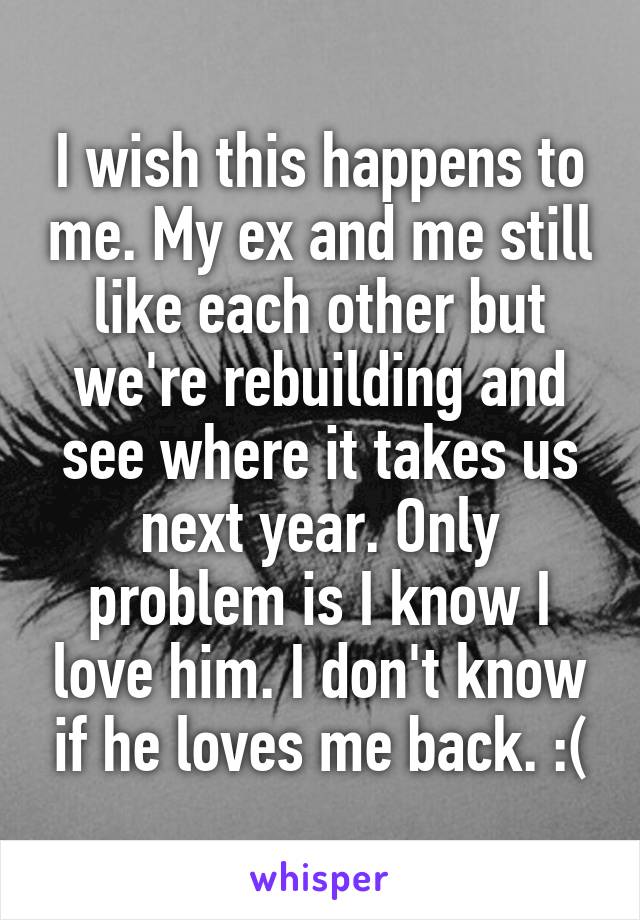 I wish this happens to me. My ex and me still like each other but we're rebuilding and see where it takes us next year. Only problem is I know I love him. I don't know if he loves me back. :(