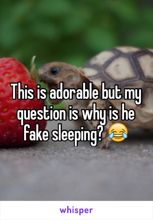 This is adorable but my question is why is he fake sleeping? 😂