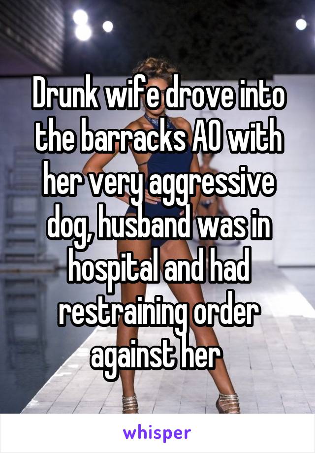 Drunk wife drove into the barracks AO with her very aggressive dog, husband was in hospital and had restraining order against her 