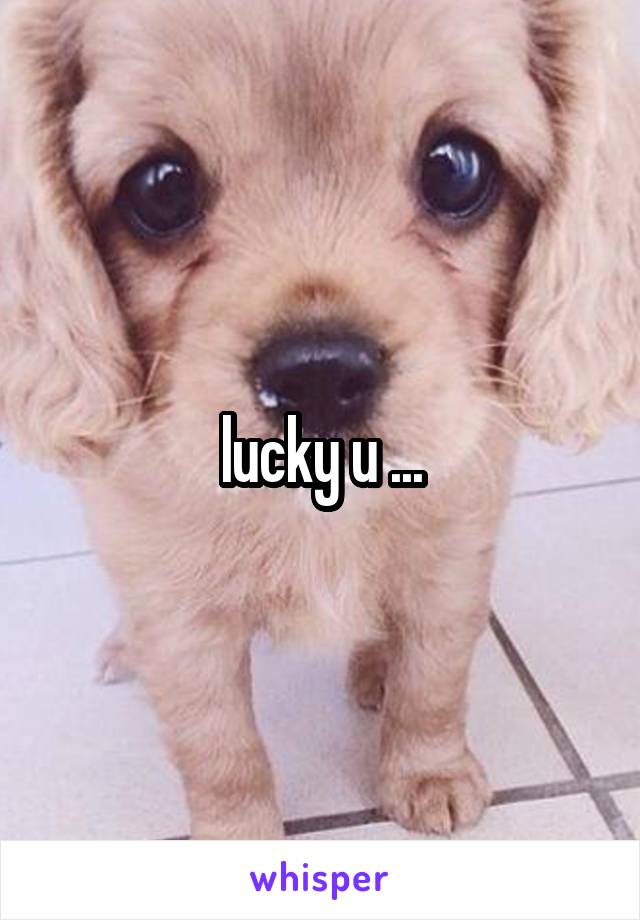 lucky u ...