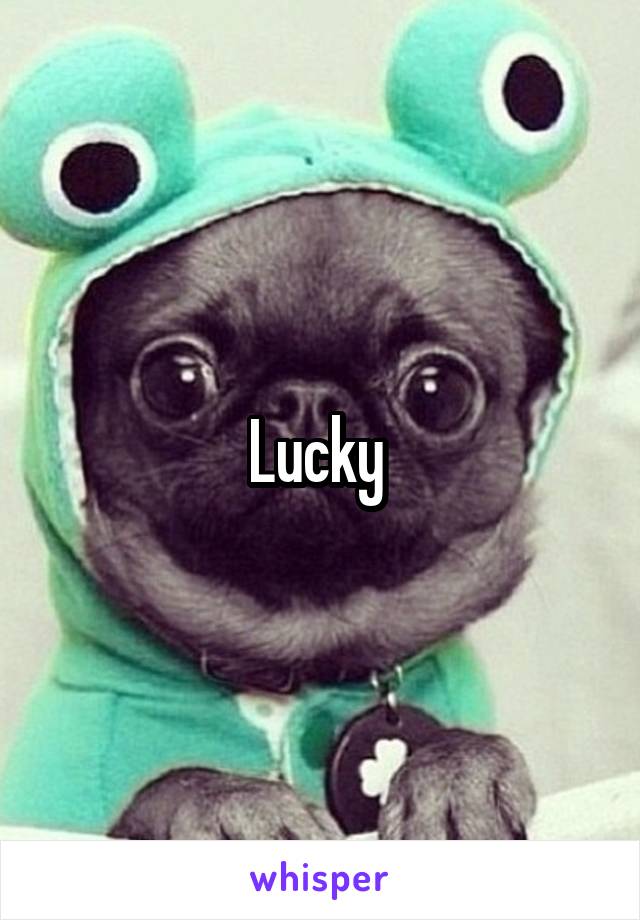 Lucky 