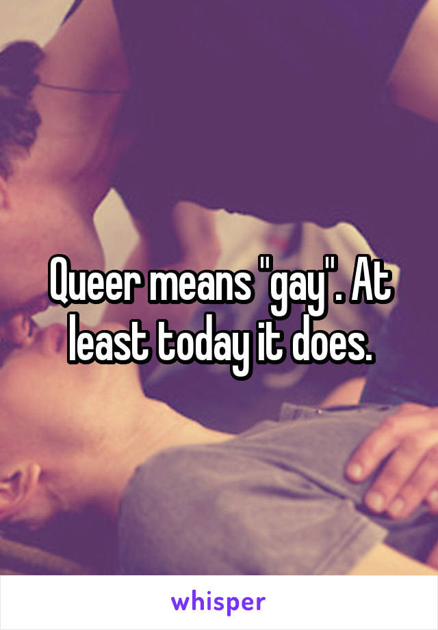 Queer means "gay". At least today it does.