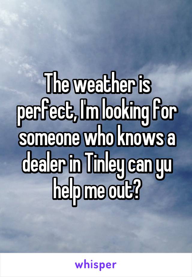 The weather is perfect, I'm looking for someone who knows a dealer in Tinley can yu help me out?