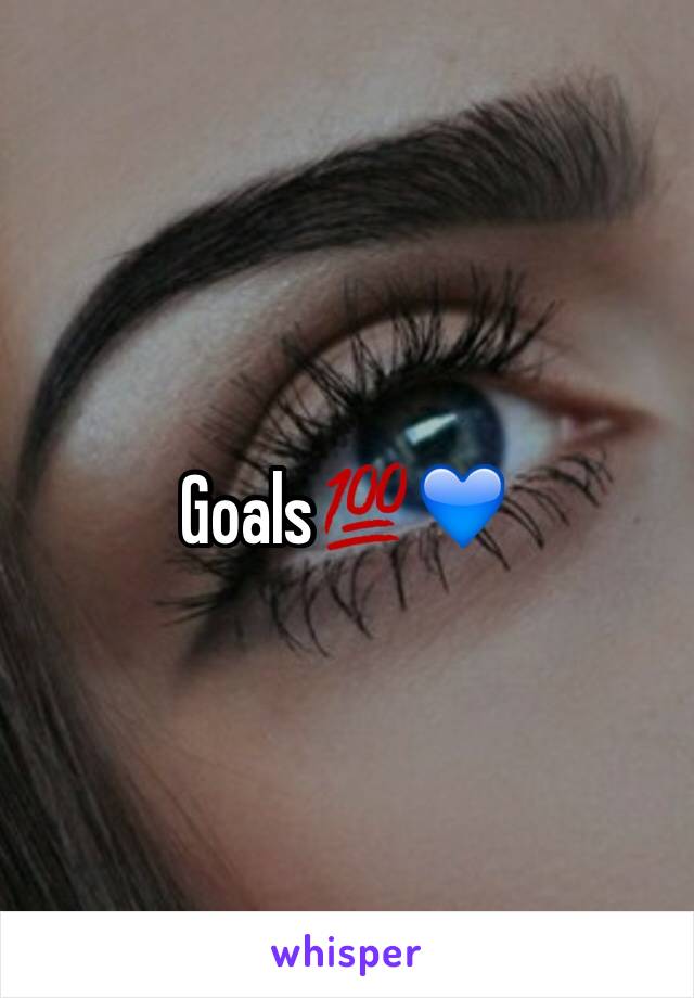 Goals💯💙