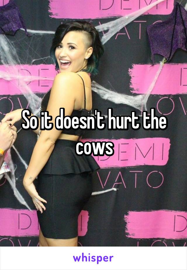 So it doesn't hurt the cows