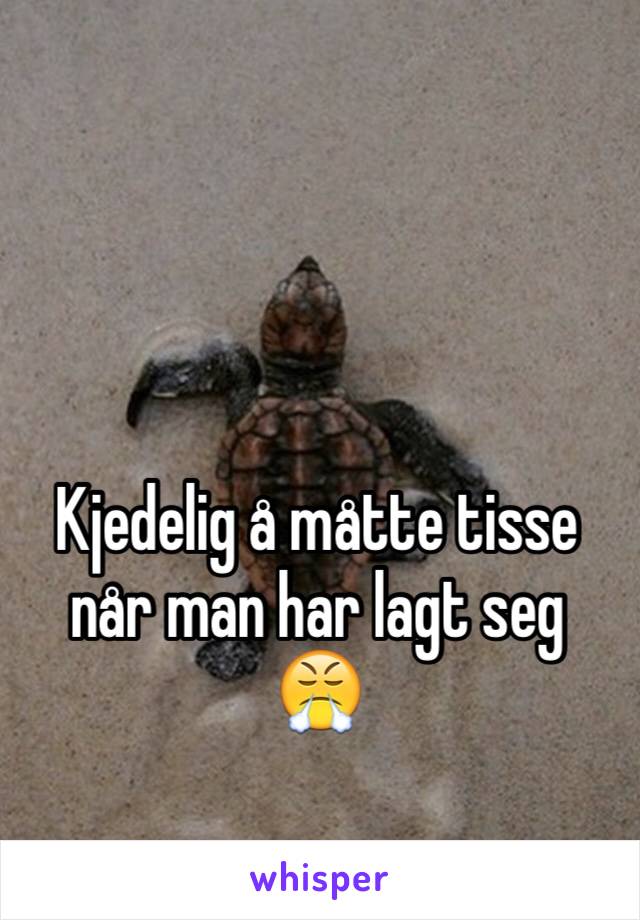 Kjedelig å måtte tisse når man har lagt seg 
😤