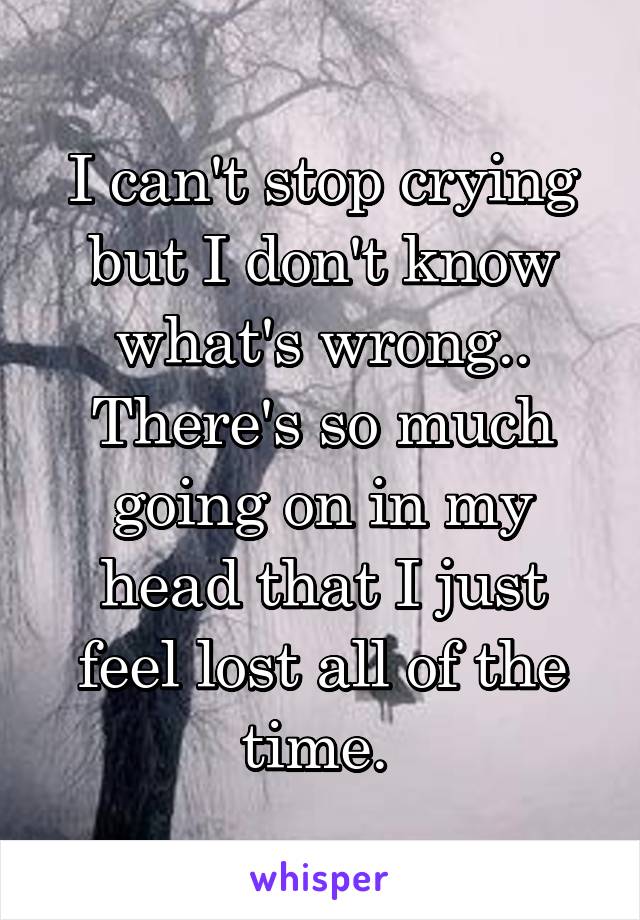 I can't stop crying but I don't know what's wrong.. There's so much going on in my head that I just feel lost all of the time. 