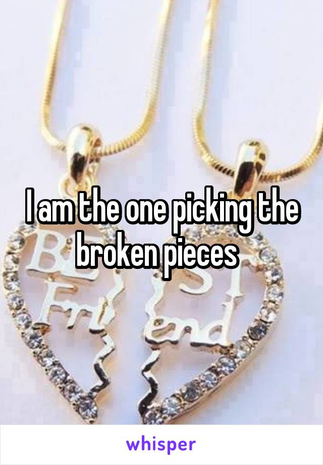 I am the one picking the broken pieces  