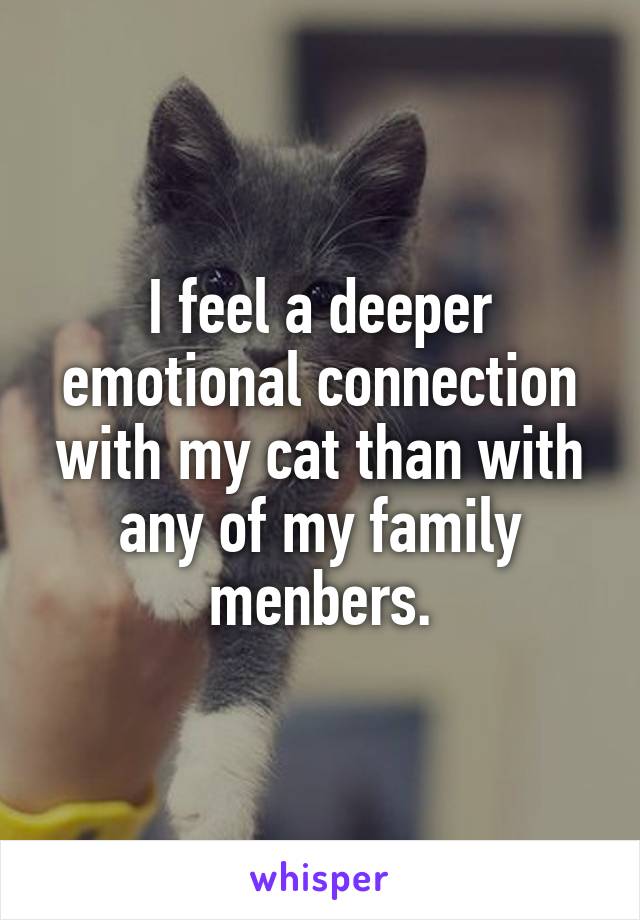 I feel a deeper emotional connection with my cat than with any of my family menbers.