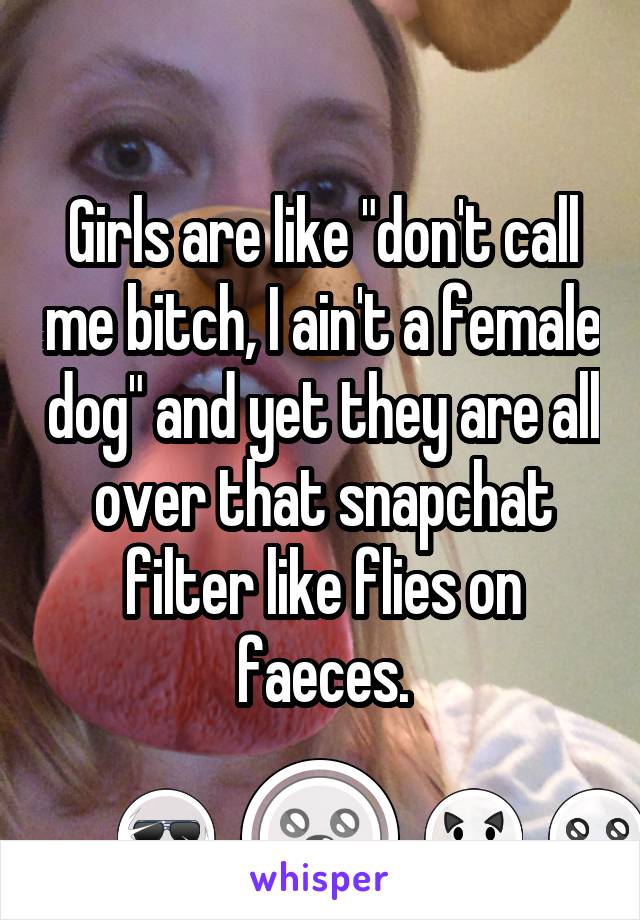 Girls are like "don't call me bitch, I ain't a female dog" and yet they are all over that snapchat filter like flies on faeces.