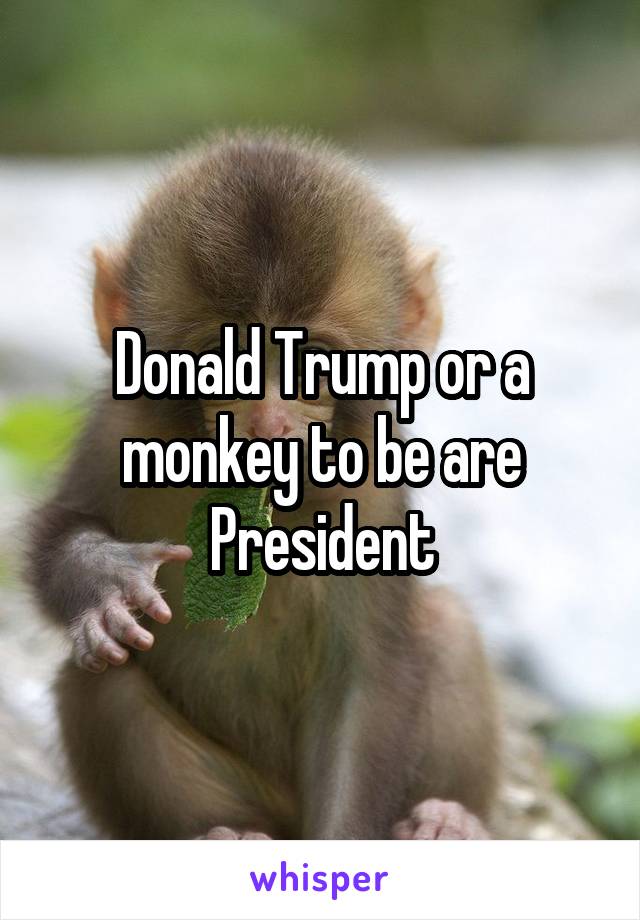 Donald Trump or a monkey to be are President