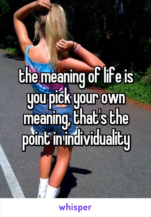the meaning of life is you pick your own meaning, that's the point in individuality