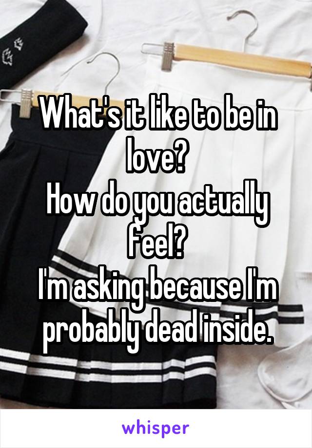 What's it like to be in love?
How do you actually feel?
I'm asking because I'm probably dead inside.