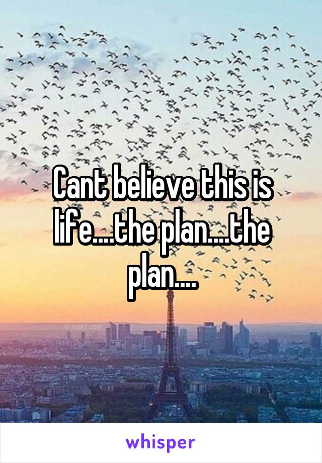 Cant believe this is life....the plan....the plan....