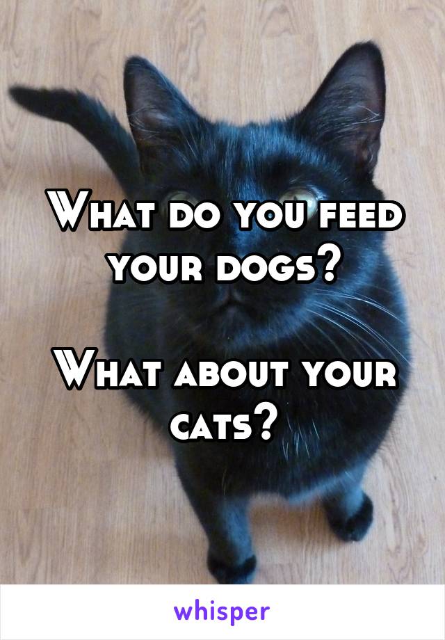 What do you feed your dogs?

What about your cats?
