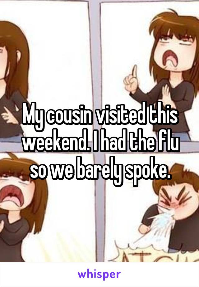 My cousin visited this weekend. I had the flu so we barely spoke.