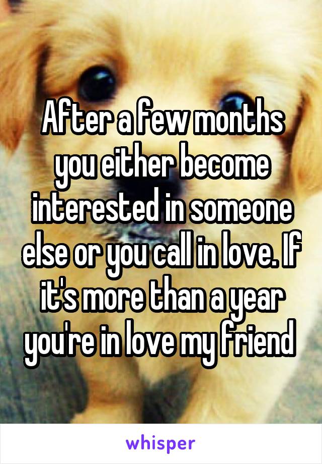 After a few months you either become interested in someone else or you call in love. If it's more than a year you're in love my friend 