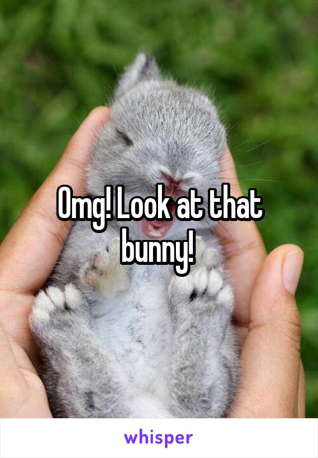 Omg! Look at that bunny! 