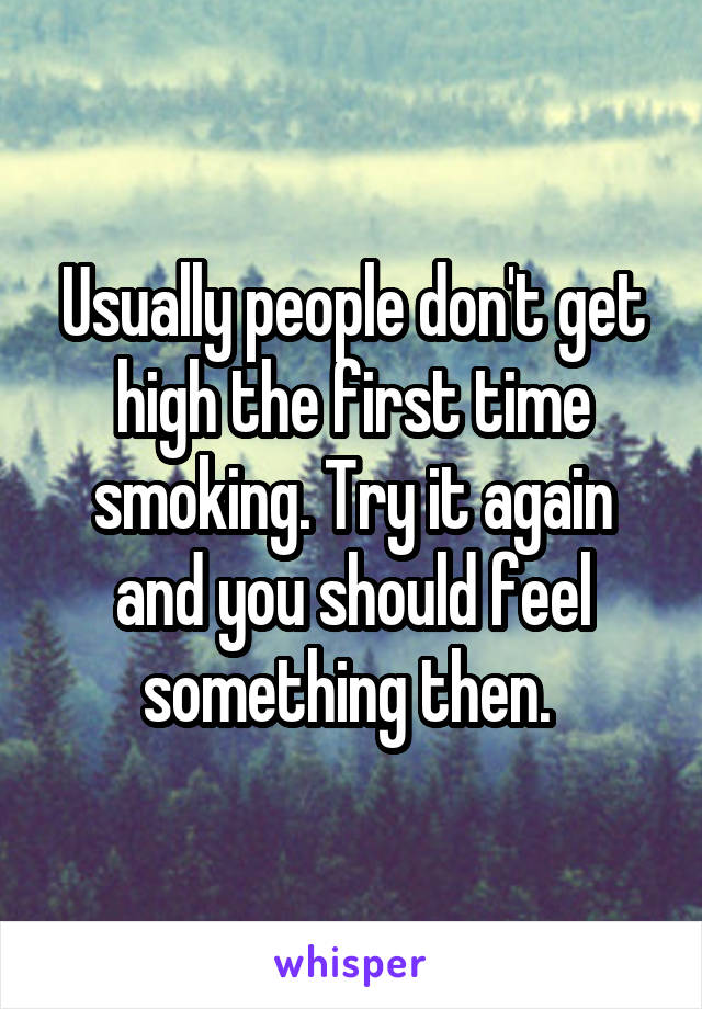 Usually people don't get high the first time smoking. Try it again and you should feel something then. 