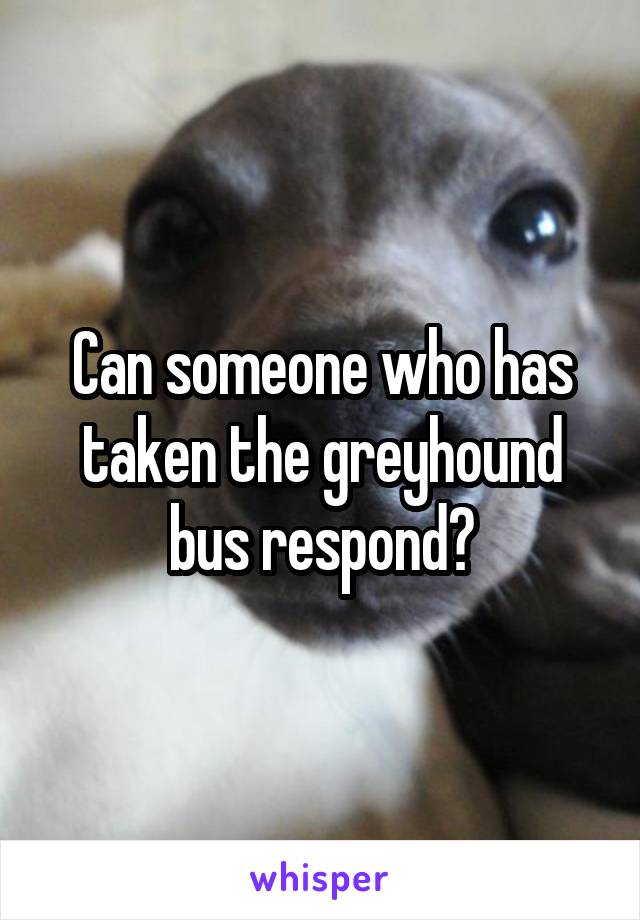 Can someone who has taken the greyhound bus respond?