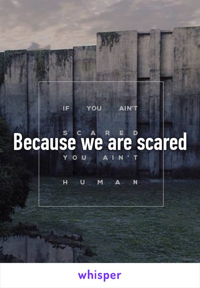 Because we are scared