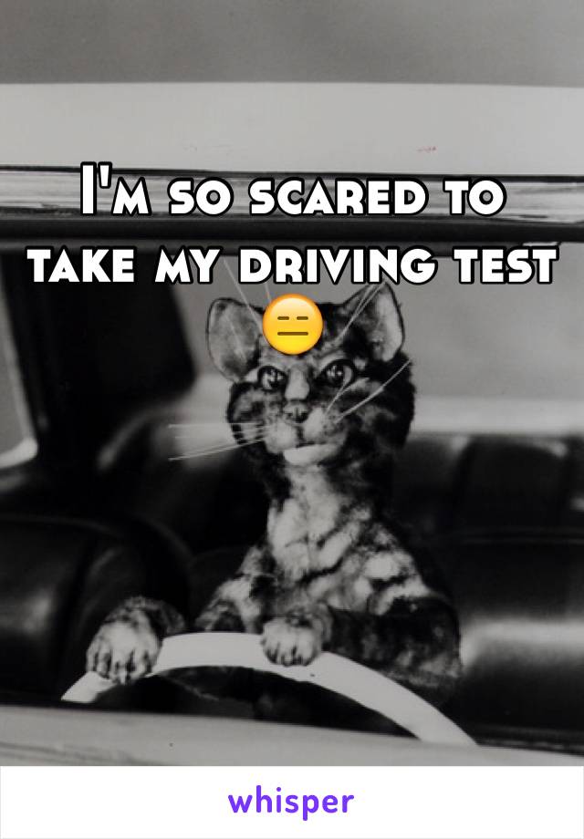 I'm so scared to take my driving test
😑