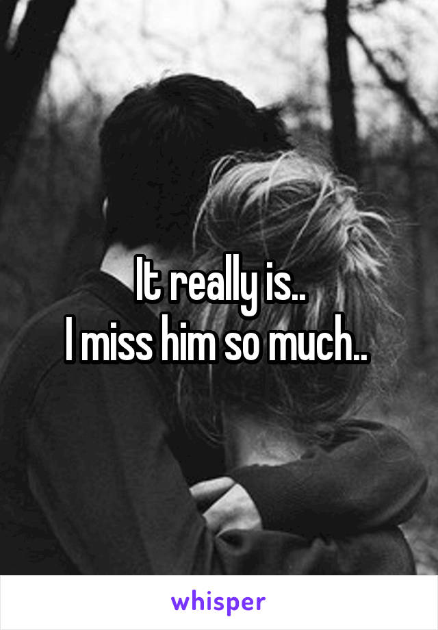It really is..
I miss him so much.. 