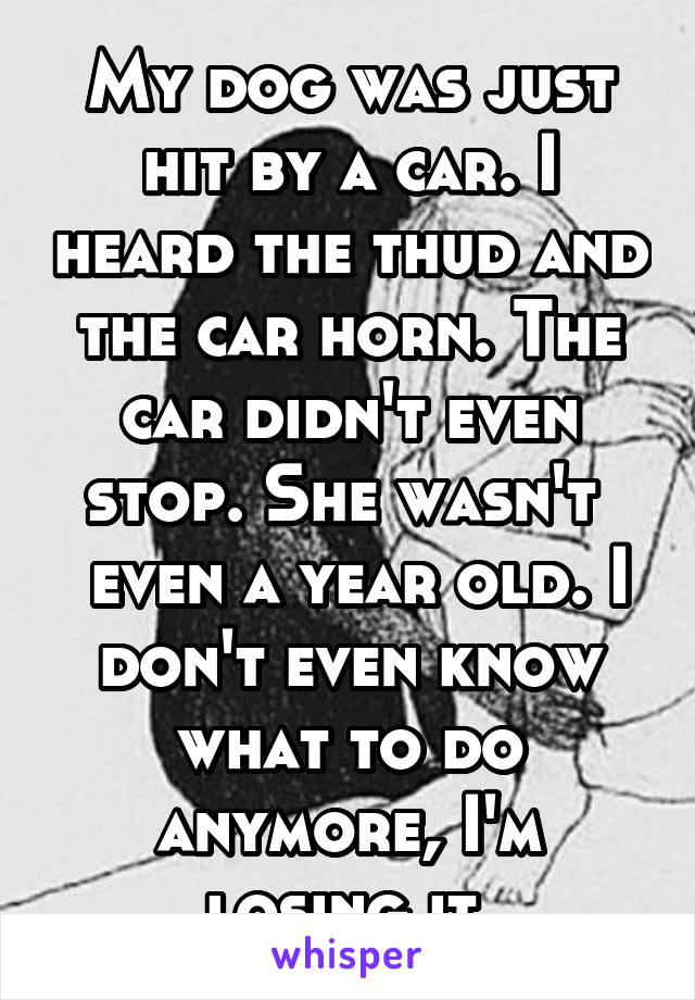 My dog was just hit by a car. I heard the thud and the car horn. The car didn't even stop. She wasn't 
 even a year old. I don't even know what to do anymore, I'm losing it.