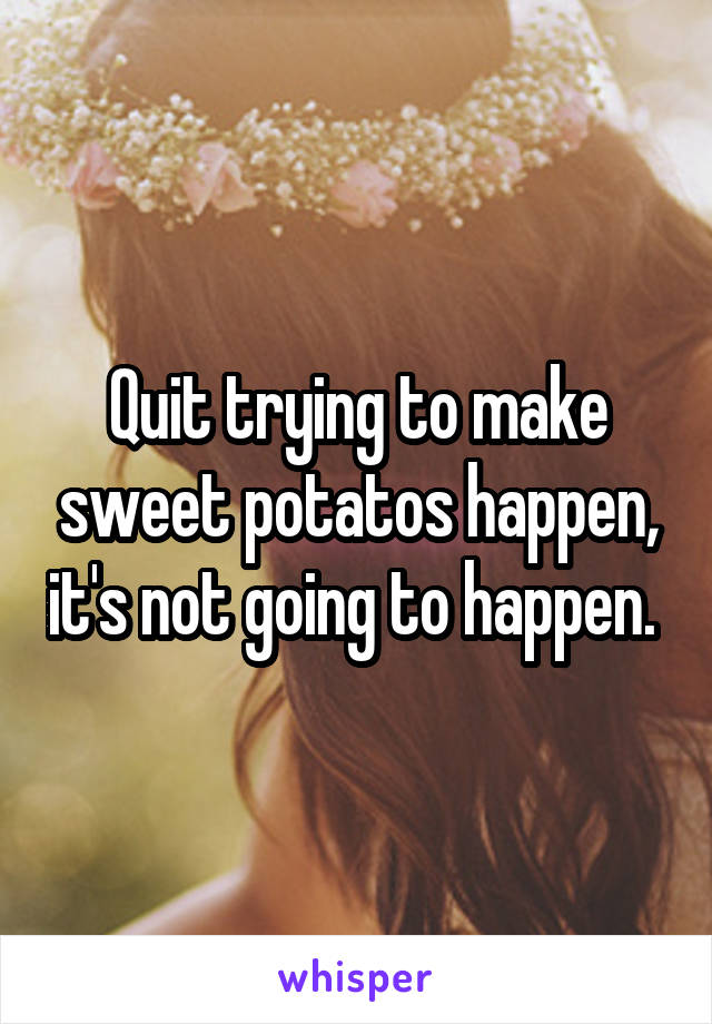 Quit trying to make sweet potatos happen, it's not going to happen. 