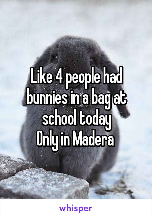 Like 4 people had bunnies in a bag at school today
Only in Madera 